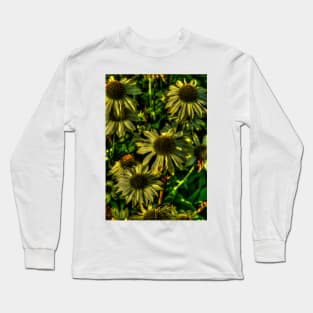 Yellow Echinacea Flowers Long Sleeve T-Shirt